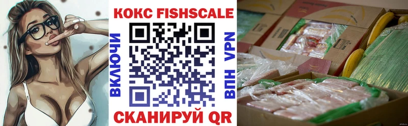 COCAIN Fish Scale Энем